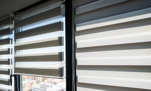 Zebra Window Blinds